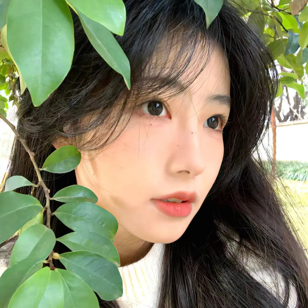 三凤嬉春